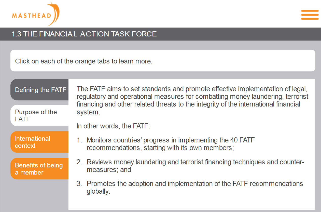 Purpose of FATF